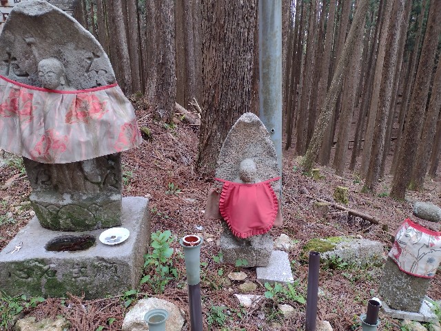 f:id:developingexplorer:20240121132949j:image