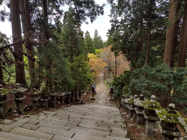 f:id:developingexplorer:20240121133814j:image