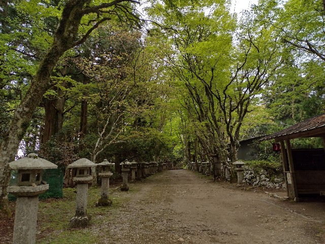 f:id:developingexplorer:20240121133837j:image