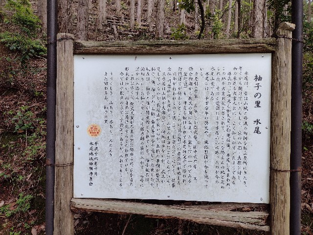 f:id:developingexplorer:20240121134133j:image
