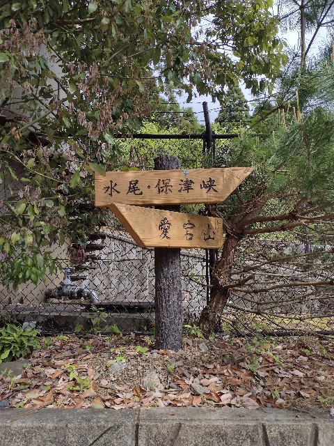 f:id:developingexplorer:20240121134224j:image