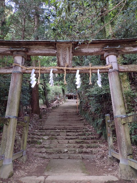 f:id:developingexplorer:20240121134342j:image