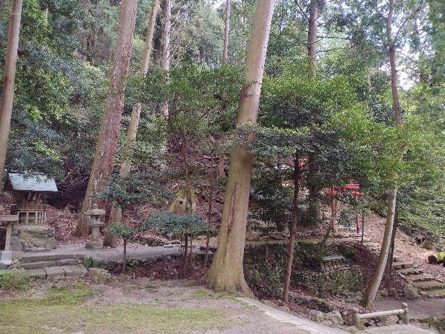 f:id:developingexplorer:20240121134403j:image