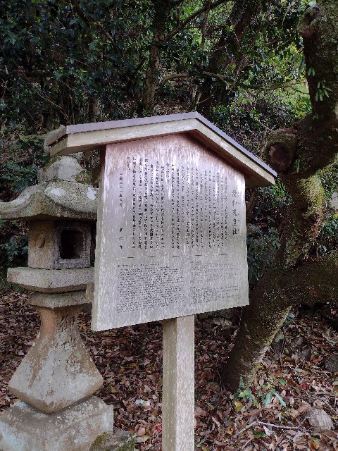 f:id:developingexplorer:20240121134430j:image