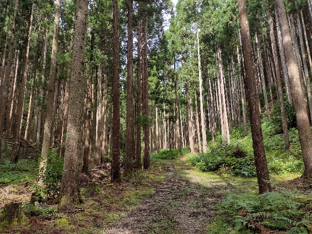 f:id:developingexplorer:20240127182044j:image