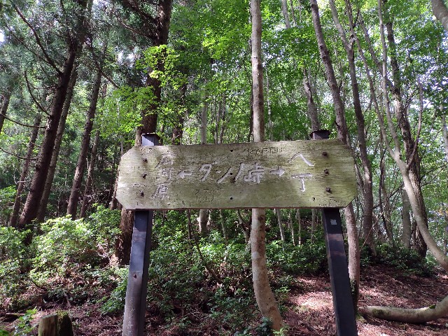 f:id:developingexplorer:20240127182108j:image