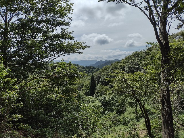 f:id:developingexplorer:20240127182401j:image