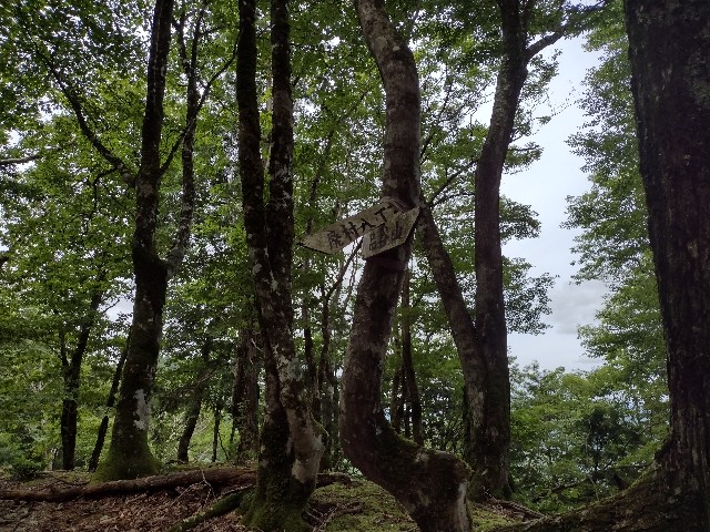 f:id:developingexplorer:20240127182653j:image