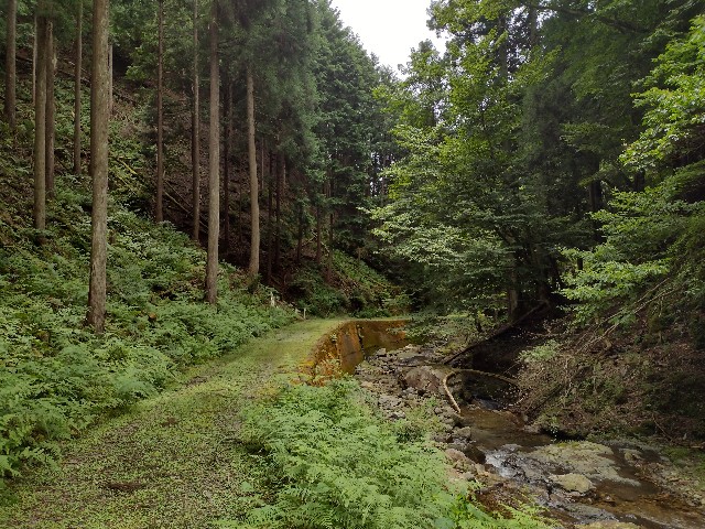 f:id:developingexplorer:20240127183929j:image