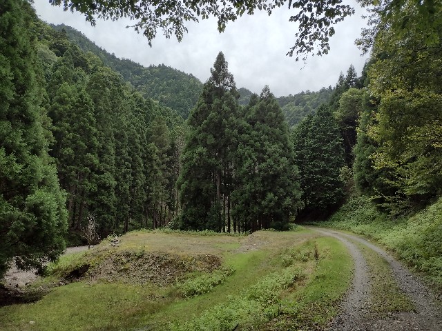 f:id:developingexplorer:20240127183952j:image