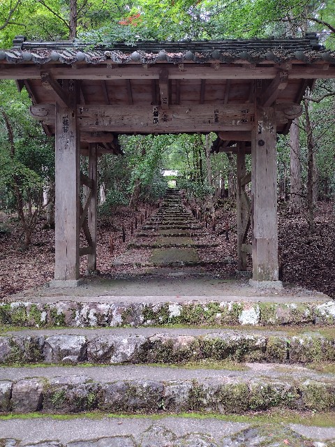 f:id:developingexplorer:20240127184713j:image