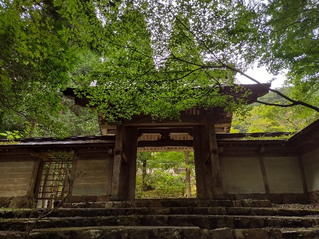 f:id:developingexplorer:20240127184930j:image