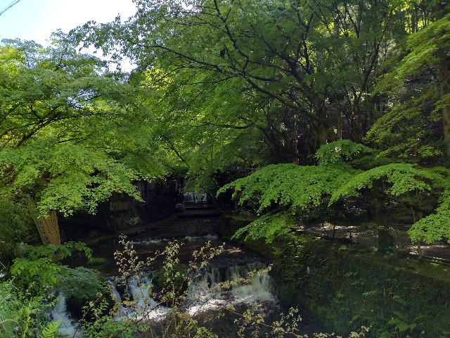 f:id:developingexplorer:20240128175344j:image