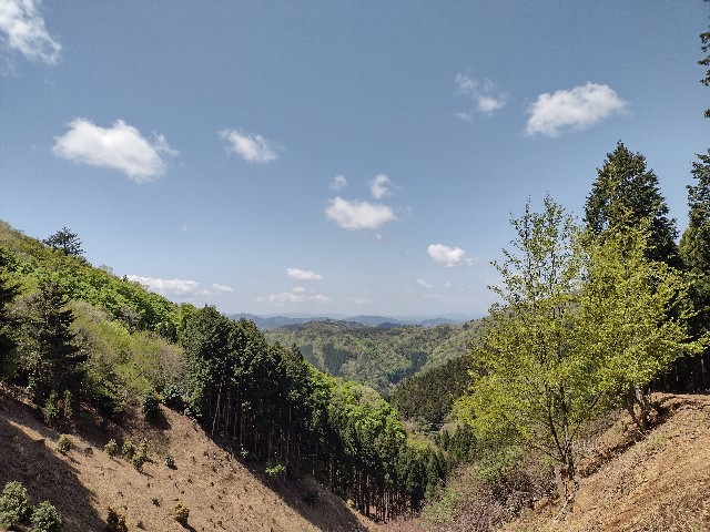 f:id:developingexplorer:20240128180944j:image