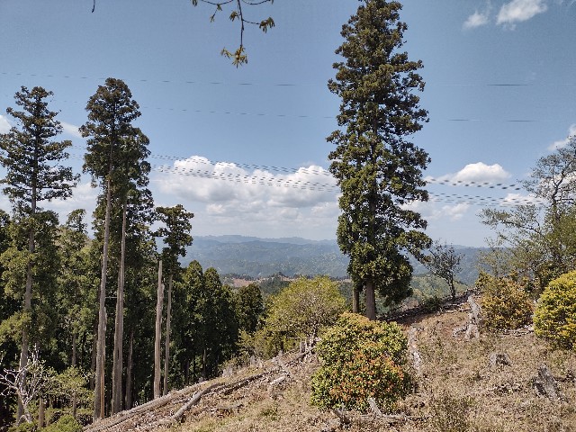 f:id:developingexplorer:20240128181221j:image