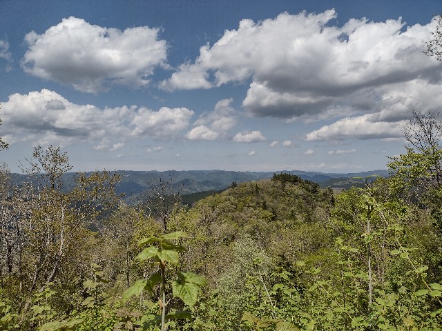 f:id:developingexplorer:20240128181911j:image