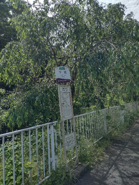 f:id:developingexplorer:20240203184628j:image