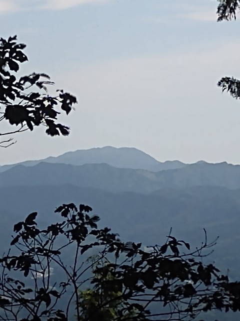 f:id:developingexplorer:20240203190409j:image