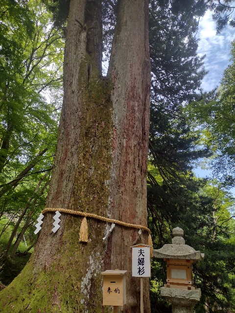 f:id:developingexplorer:20240203191749j:image