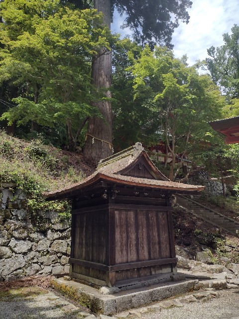 f:id:developingexplorer:20240203191809j:image