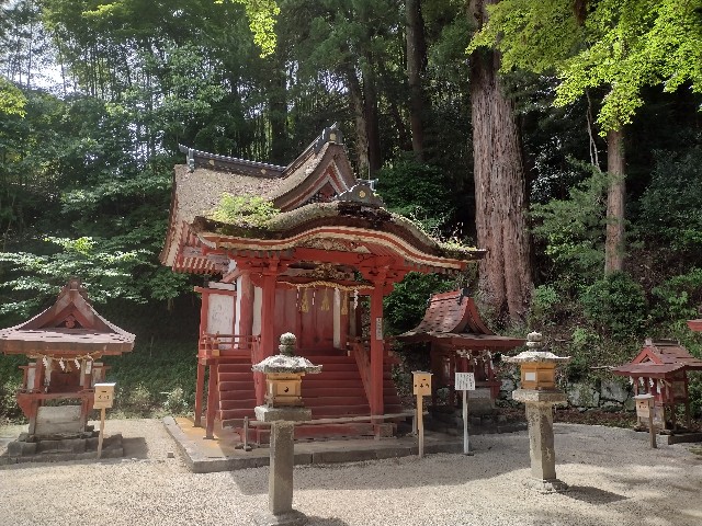 f:id:developingexplorer:20240203192138j:image