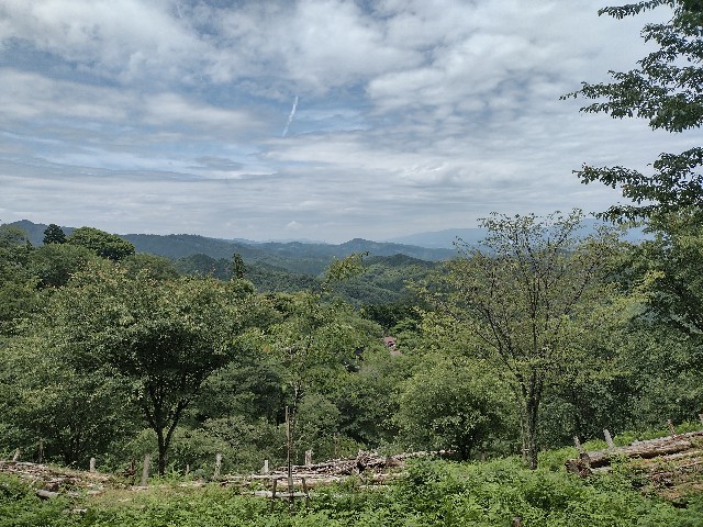 f:id:developingexplorer:20240204121442j:image