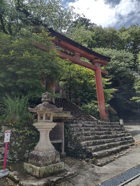 f:id:developingexplorer:20240204121803j:image