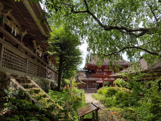f:id:developingexplorer:20240204122127j:image