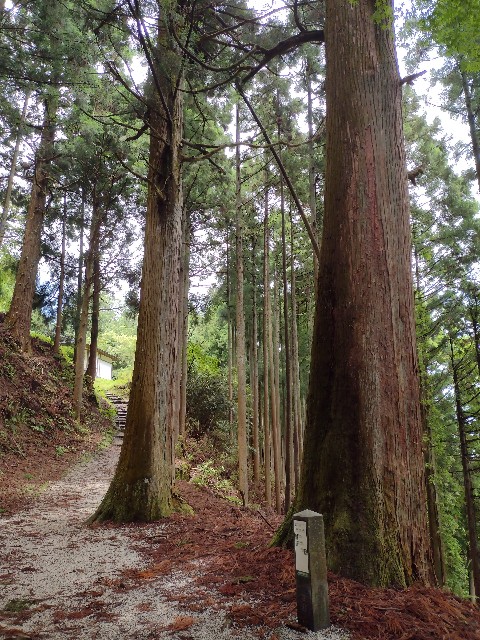 f:id:developingexplorer:20240204122403j:image