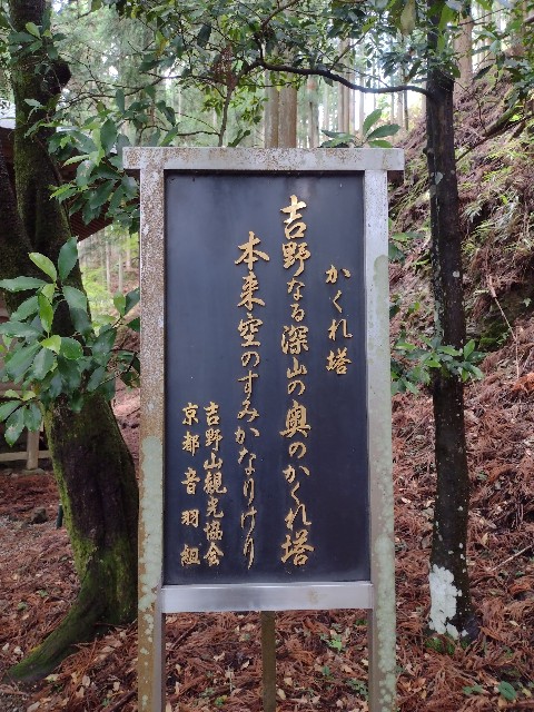 f:id:developingexplorer:20240204122433j:image
