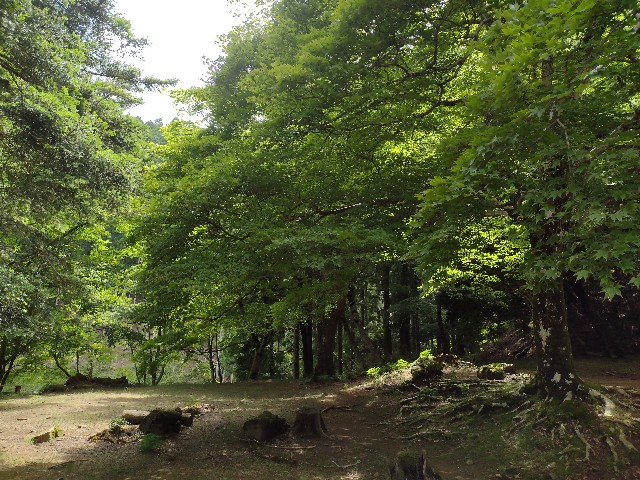 f:id:developingexplorer:20240204123349j:image