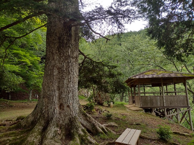 f:id:developingexplorer:20240204123516j:image