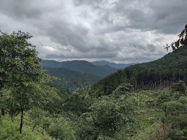 f:id:developingexplorer:20240204123637j:image