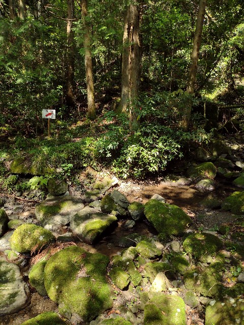 f:id:developingexplorer:20240211184243j:image
