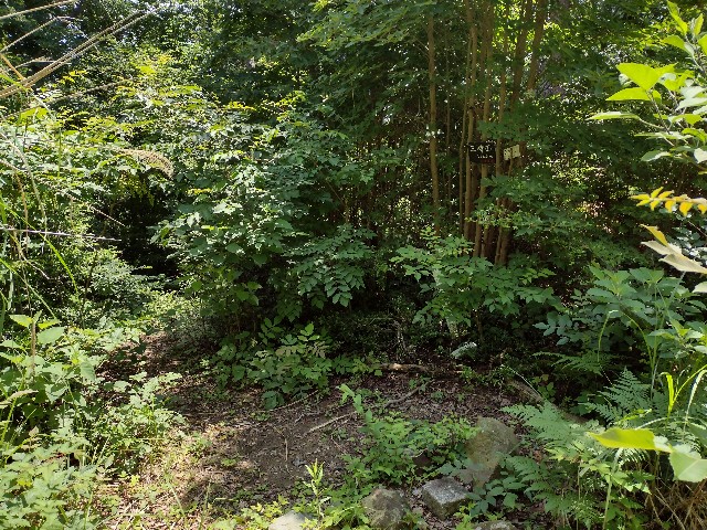 f:id:developingexplorer:20240211184939j:image