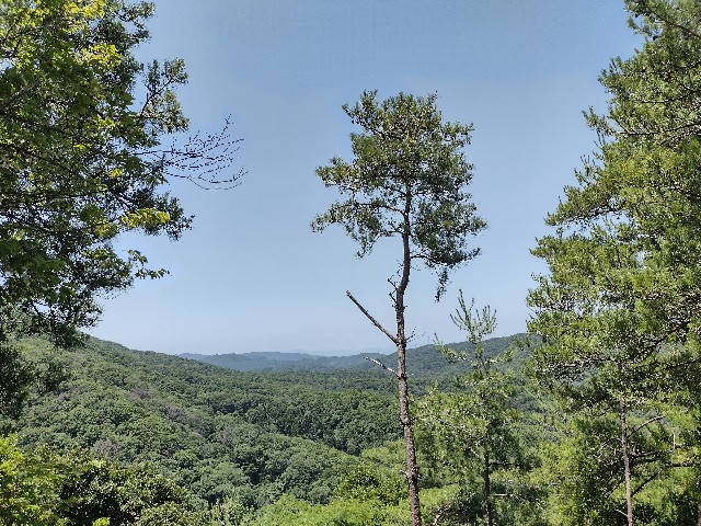 f:id:developingexplorer:20240211185338j:image