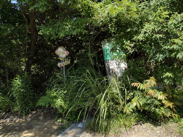 f:id:developingexplorer:20240211185836j:image