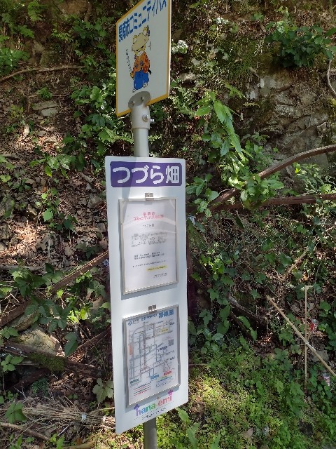 f:id:developingexplorer:20240211185955j:image