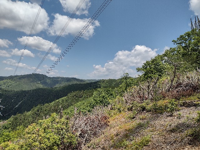 f:id:developingexplorer:20240218170713j:image f:id:developingexplorer:20240218170713j:image