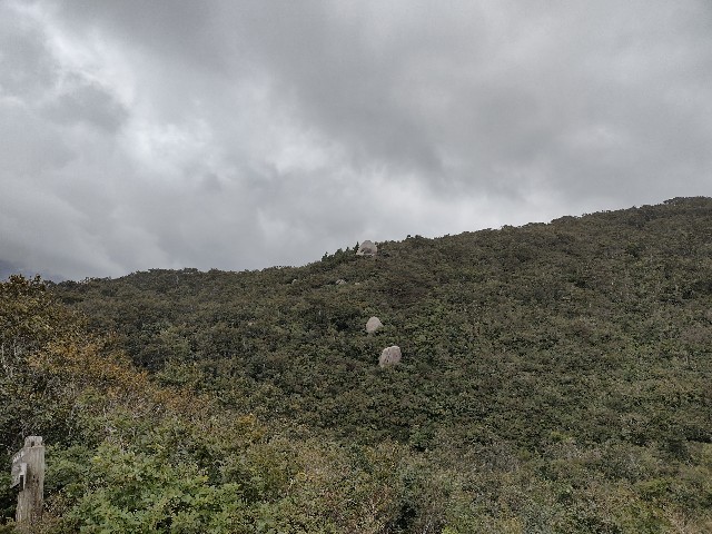 f:id:developingexplorer:20240223175117j:image