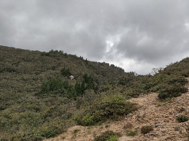 f:id:developingexplorer:20240223175202j:image