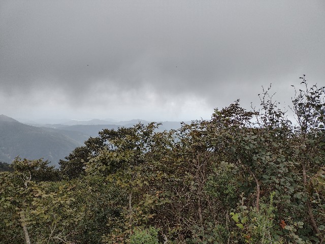 f:id:developingexplorer:20240223175903j:image
