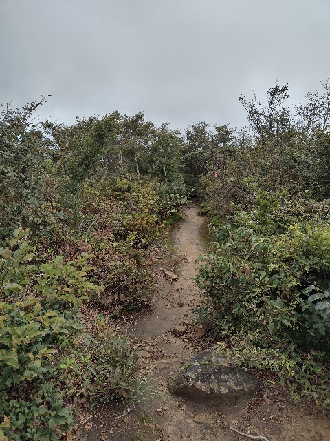 f:id:developingexplorer:20240223175920j:image