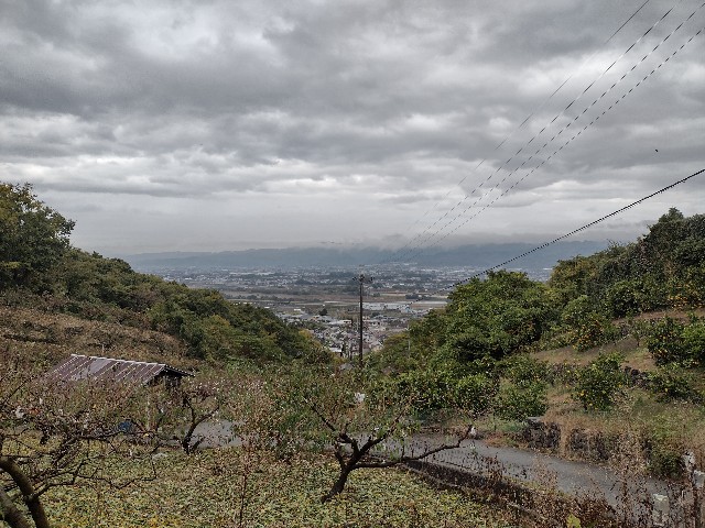 f:id:developingexplorer:20240225163902j:image f:id:developingexplorer:20240225163902j:image