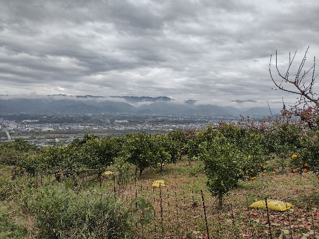 f:id:developingexplorer:20240225163922j:image f:id:developingexplorer:20240225163922j:image