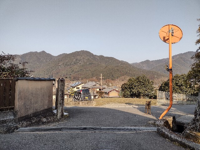 f:id:developingexplorer:20240302174105j:image f:id:developingexplorer:20240302174105j:image