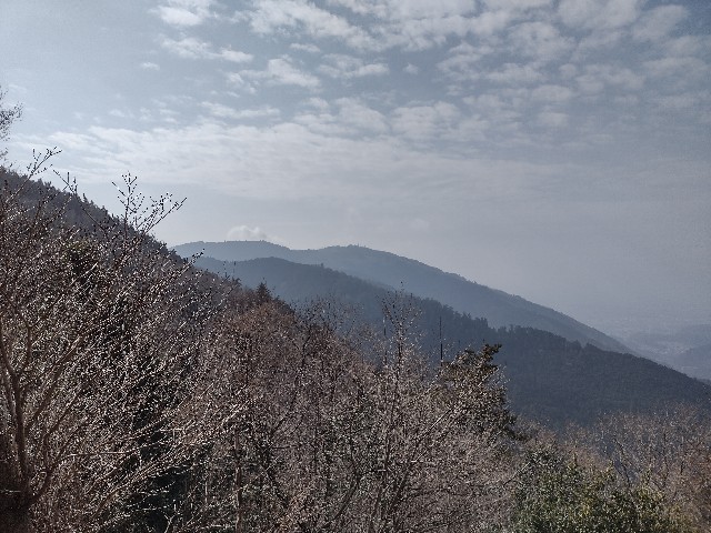 f:id:developingexplorer:20240302174631j:image f:id:developingexplorer:20240302174631j:image