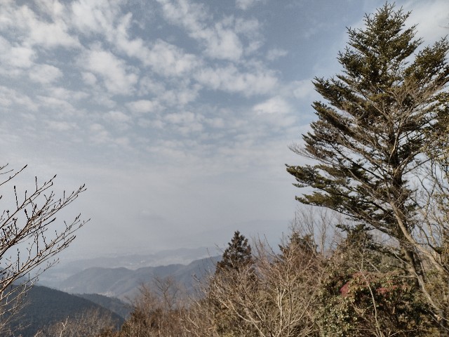 f:id:developingexplorer:20240302174654j:image f:id:developingexplorer:20240302174654j:image