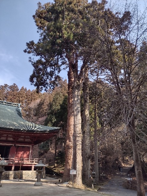 f:id:developingexplorer:20240302174927j:image f:id:developingexplorer:20240302174927j:image
