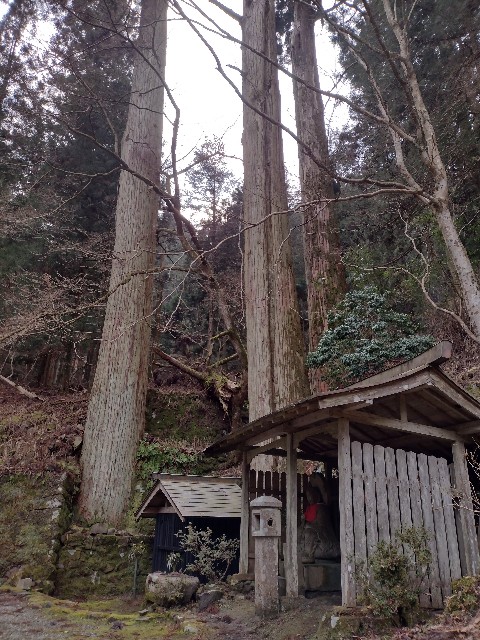 f:id:developingexplorer:20240302175259j:image f:id:developingexplorer:20240302175259j:image